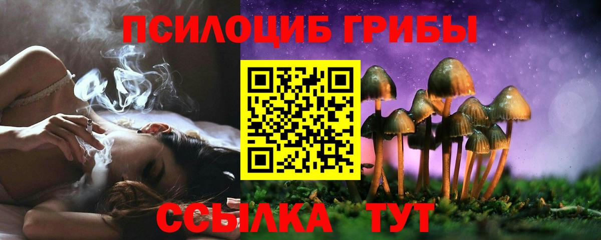 Новодвинск  Галлюциногенные грибы мухоморы  Галлюциногенные грибы MAGIC MUSHROOMS  Вход с VPN 