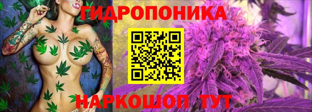 Бошки Шишки MAZAR Новодвинск