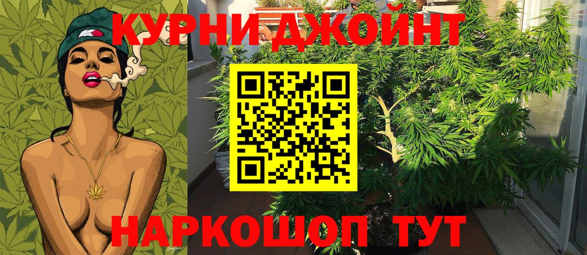 Марихуана Bruce Banner  Марихуана AK-47  Новодвинск  Канабис планчик  Вход с VPN  Бошки Шишки SATIVA & INDICA 